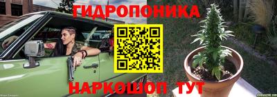 mix Лесной